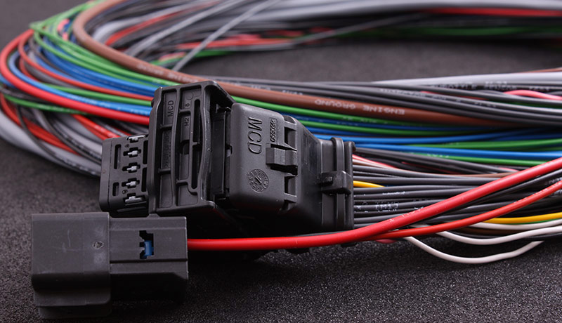 Main harness for MaxxECU V1 / RACE / PRO