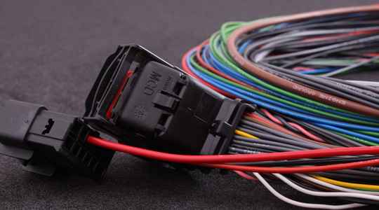 Main harness for MaxxECU V1 / RACE / PRO