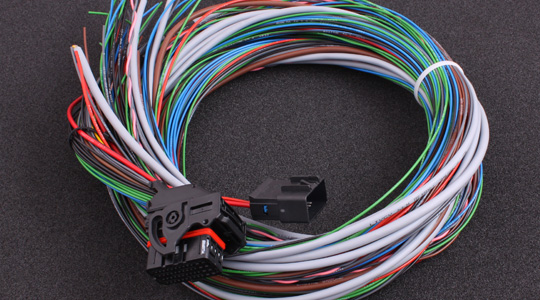 Main harness for MaxxECU V1 / RACE / PRO