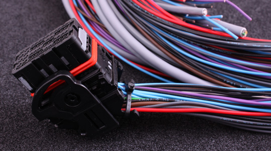 Flying lead harness for MaxxECU STREET