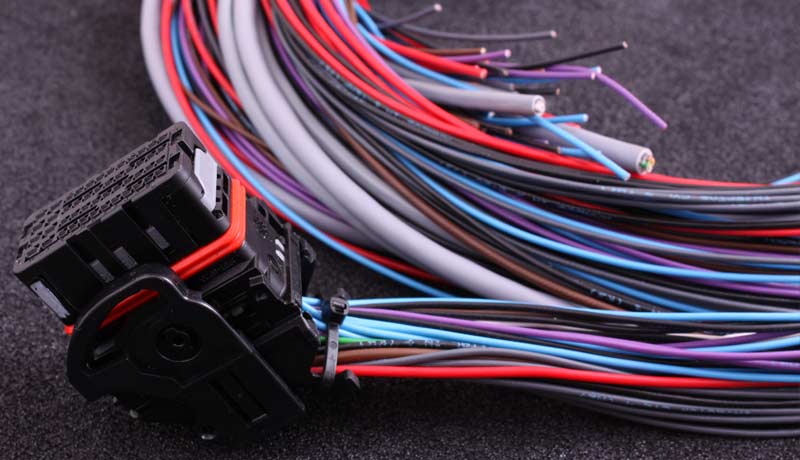 Flying lead harness for MaxxECU STREET