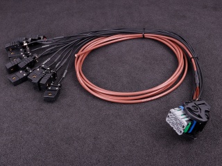 MaxxECU PRO flying lead harness 3m connector 2 (EGT)