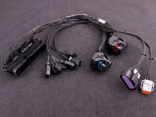 Audi 1.8T (ME 7.5) MaxxECU RACE plugin adapter
