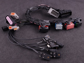 ECUPlus - Motorsport Wiring & Electronics - KFZ-Stecker