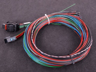 MaxxECU SPORT cable harness