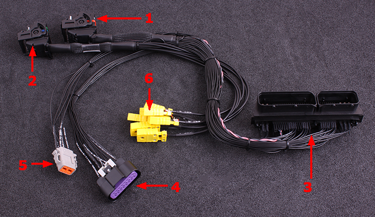 Разъема ELR-04nv. MAXXECU проводка. MAXXECU Race wiring diagram. MAXXECU Race подключение. Plugin adapter